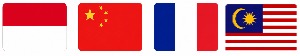 flag-8.jpg